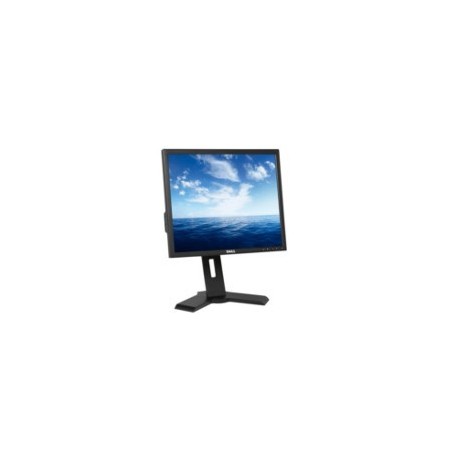 Monitor  Dell P190ST Taras Considerables